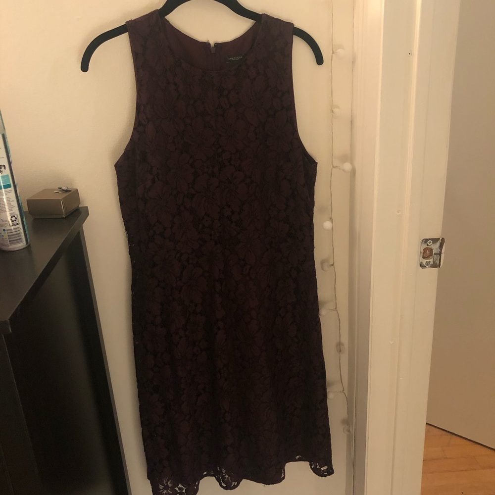 Ann Taylor Lace Dress